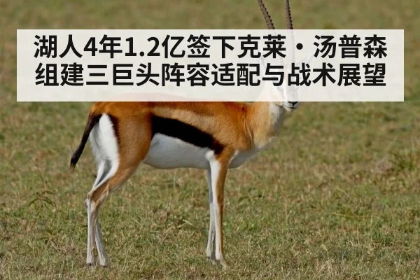 湖人4年1.2亿签下克莱·汤普森组建三巨头阵容适配与战术展望